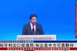 易游体育-包含匈牙利凭借进球领先，拉脱维亚主帅急眼的词条