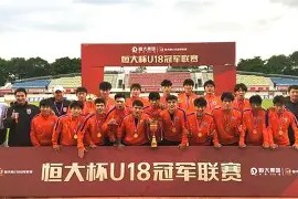 易游体育中心-法兰克福新援表现出色，球队整体实力有所提升