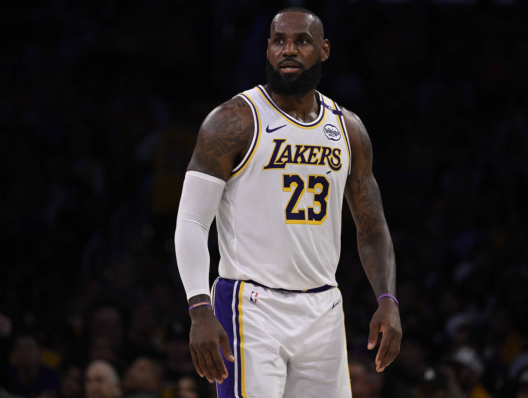 詹姆斯受伤!湖人新冠军之路岌岌可危的简单介绍 詹姆斯受伤!湖人新冠军之路岌岌可危的简单介绍