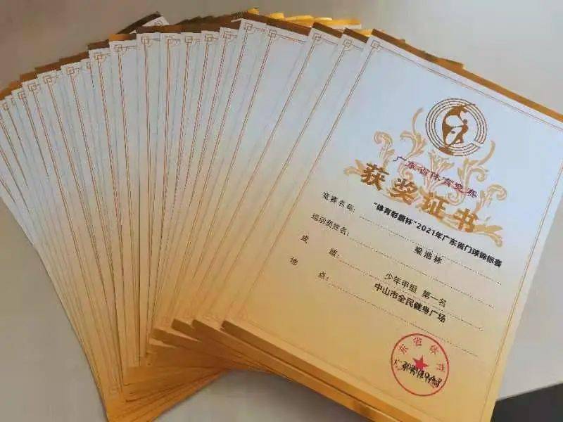 球队阵容：冠军队员团队协作心得分享的简单介绍