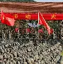 精致战术演练，球队取得连胜势头的简单介绍